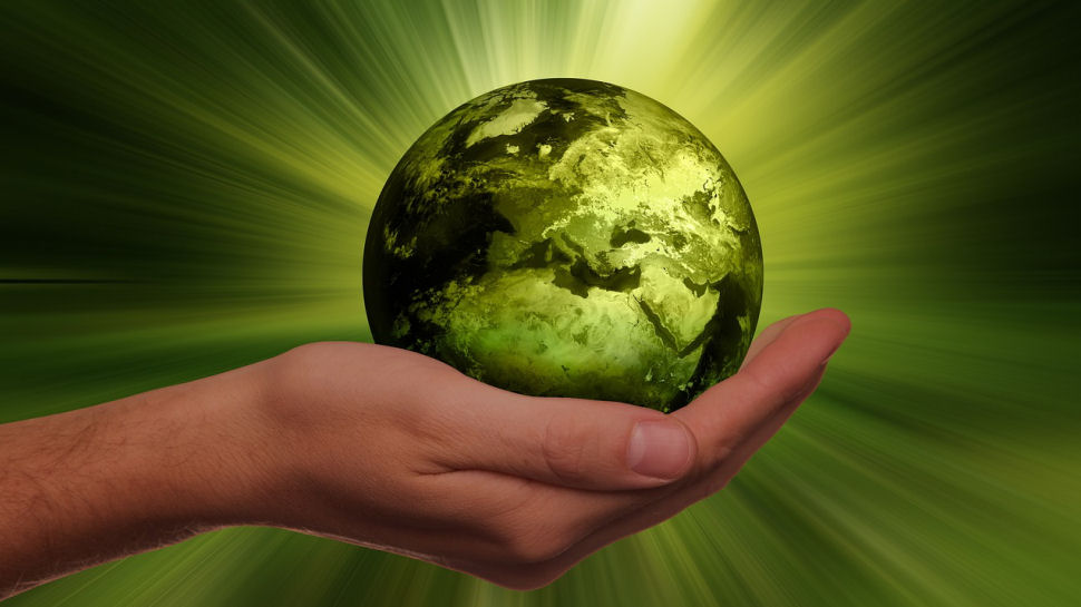 کربن خنثی در کسبوکار