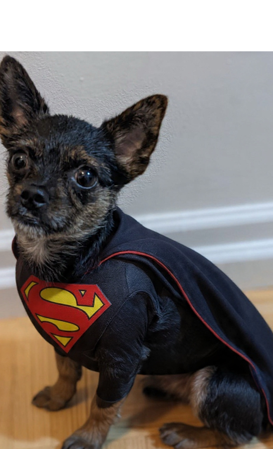 ابزار رستایل اینستاگرام