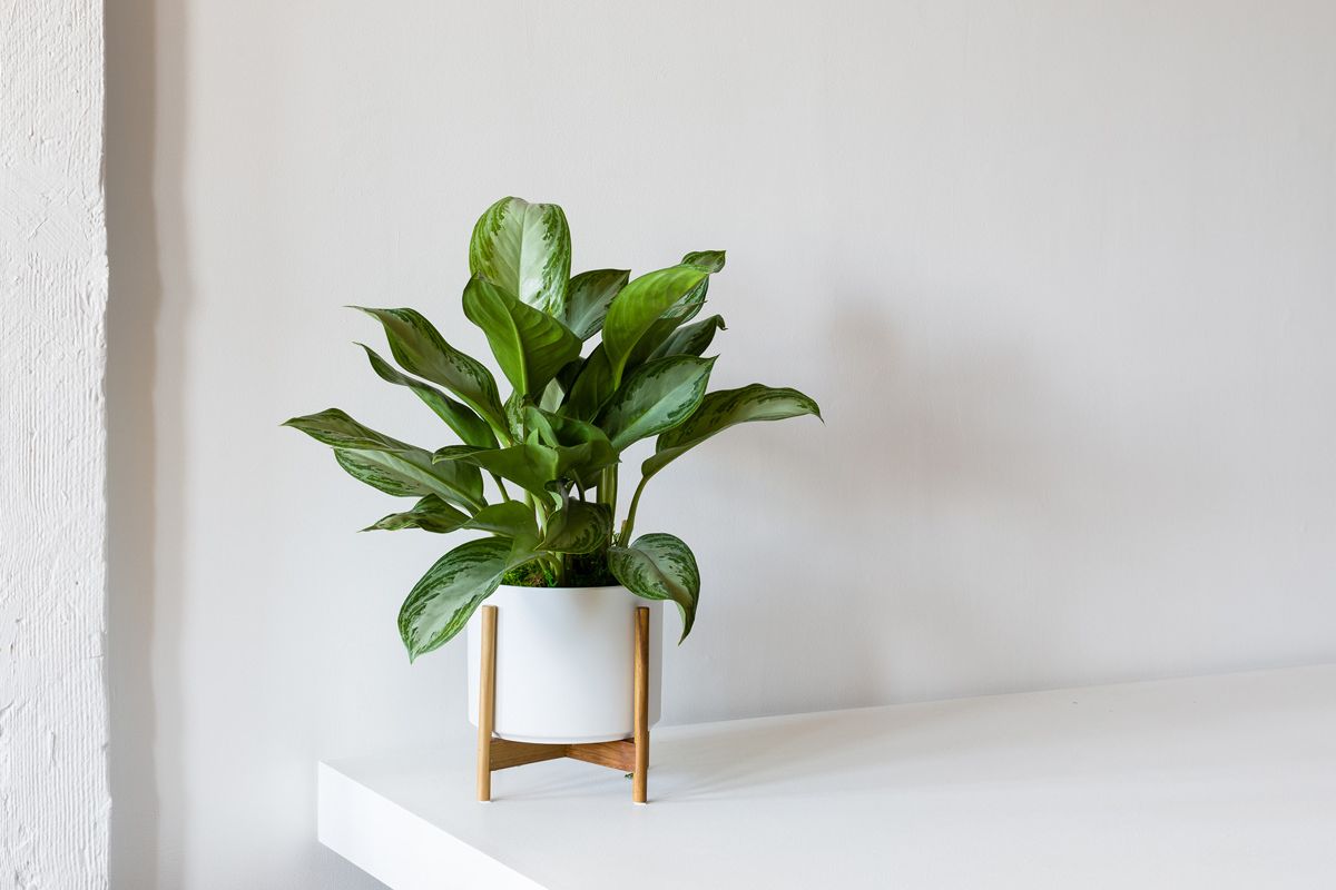 فرمانهای صوتی هدست XR