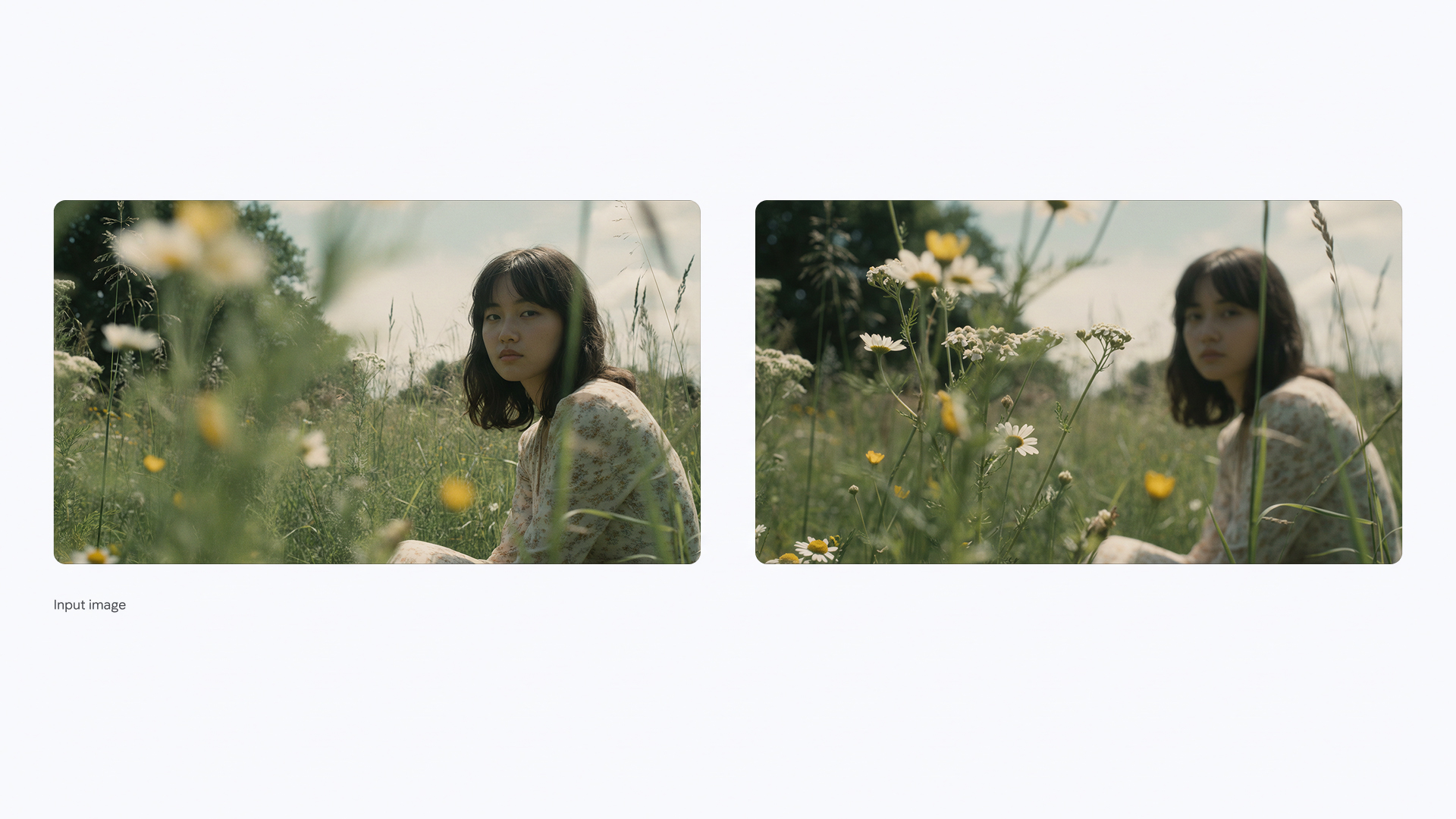 نانو بنانا پرو